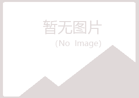 海城区白山会计有限公司